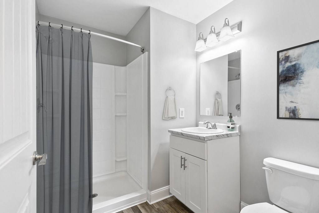 a bathroom with a shower toilet and sink