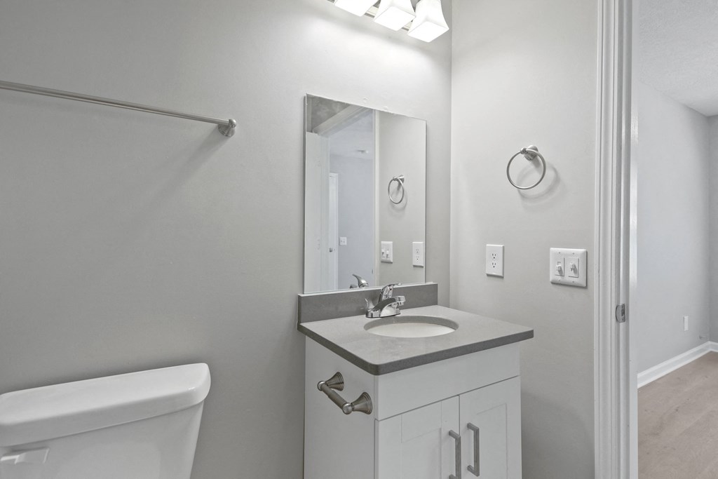 a bathroom with a sink and a mirror and a toilet