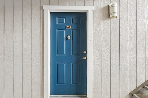 A blue door with the number 255 on it.