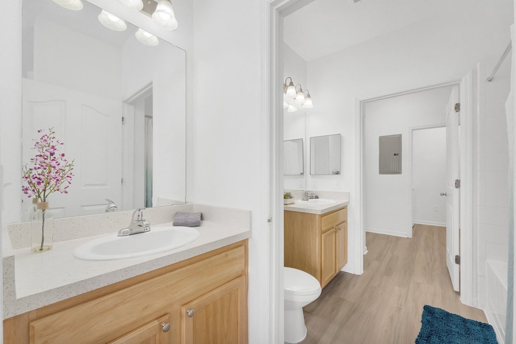 a bathroom with a sink and a toilet