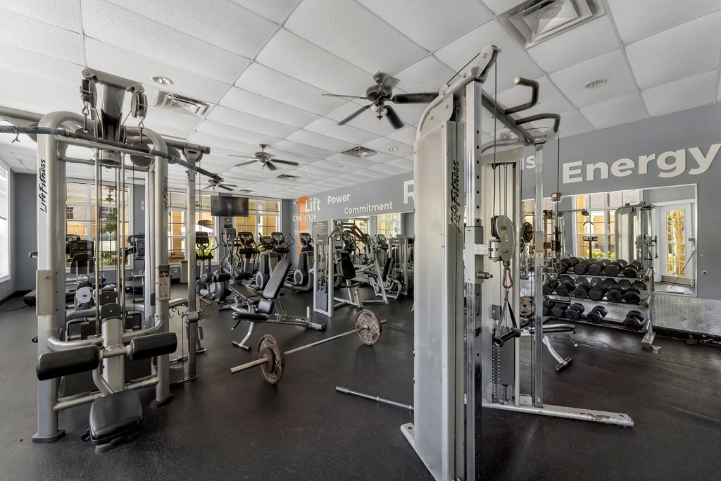a fully equipped gym with free weights and cardio equipment