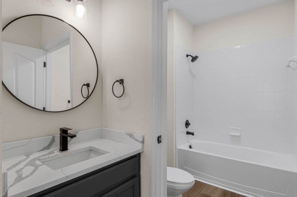 a bathroom with a sink and a shower and a mirror