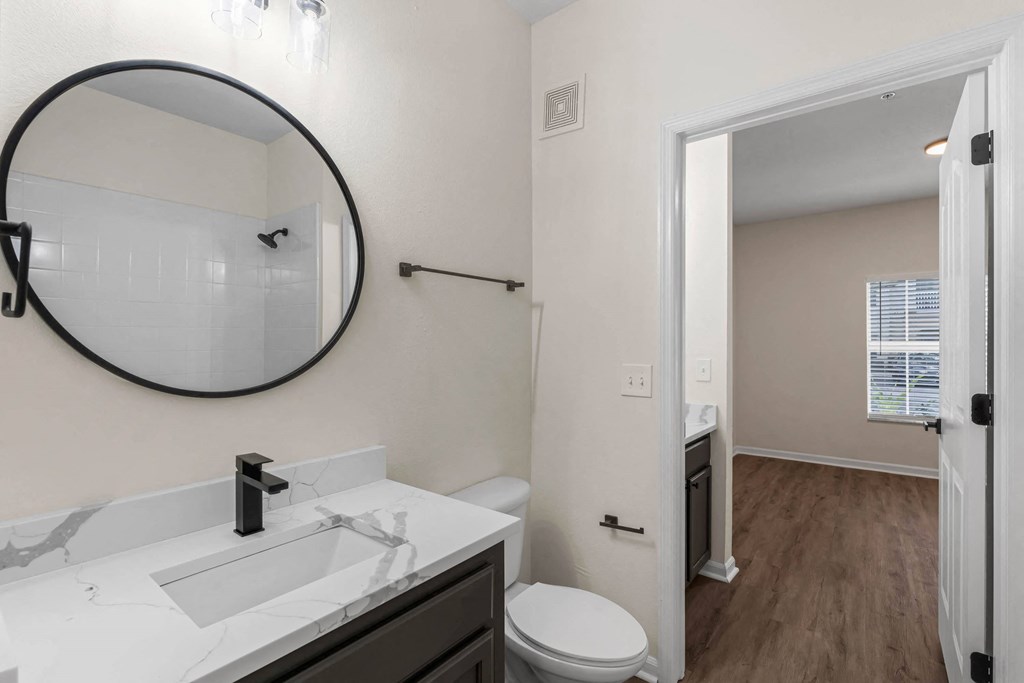 a bathroom with a mirror and a toilet and a sink