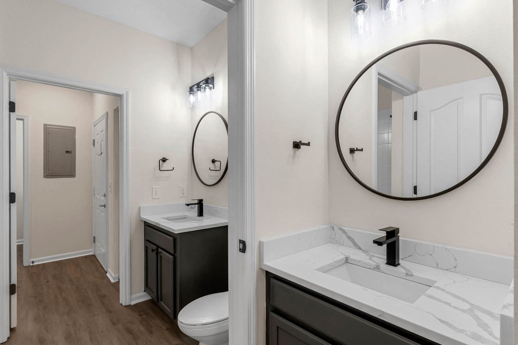 a bathroom with a sink and a toilet and a mirror