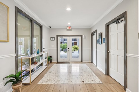 A hallway with a rug on the floor and a plant on the left side.
