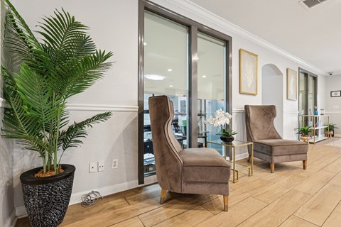 A living room with a large plant, two chairs and a table.