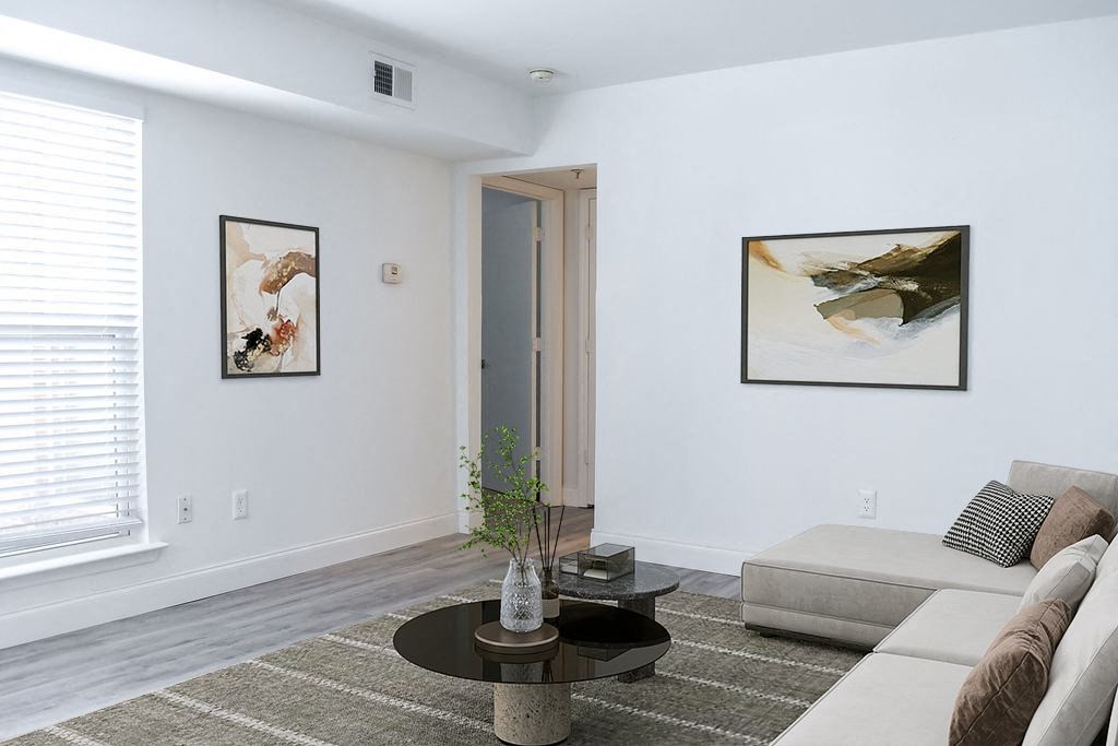 a living room with white walls and a gray rug