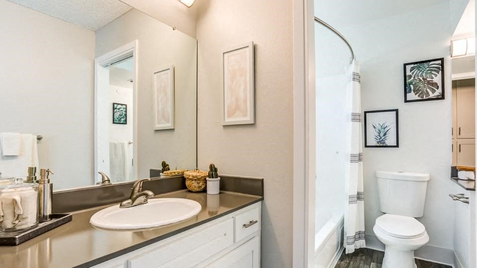 a bathroom with a sink and a toilet