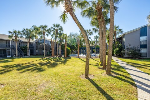 a grassy area with palm trees in front of houses