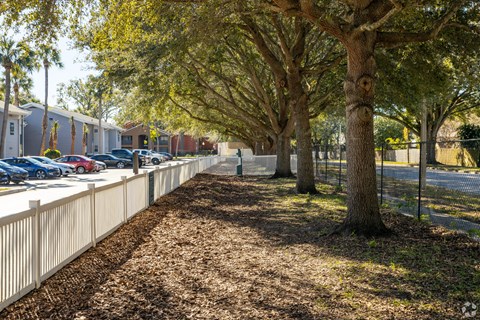 a sidewalk with trees and a fence