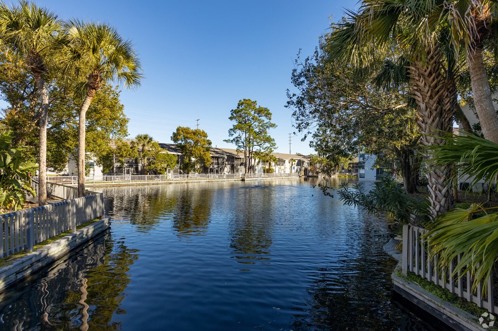 a body of water with palm trees and a fence around it