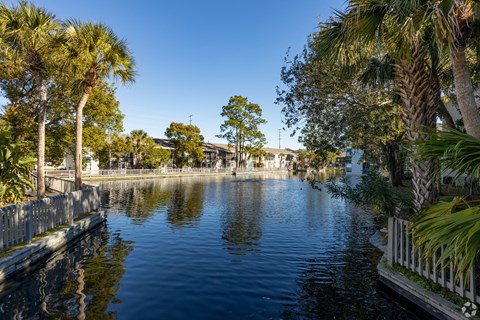 a body of water with palm trees and a fence around it