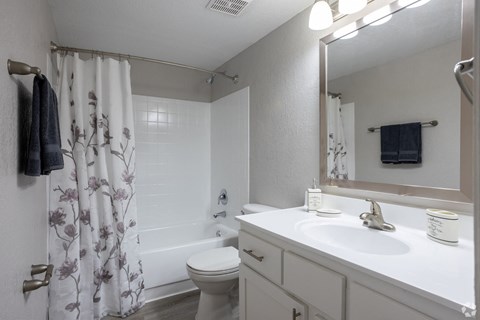 a bathroom with a shower and a sink and a toilet