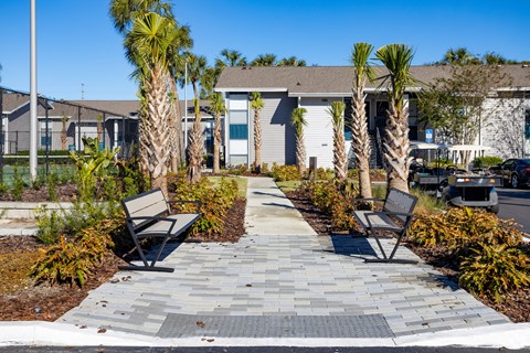 a walkway with benches and palm trees in front of houses