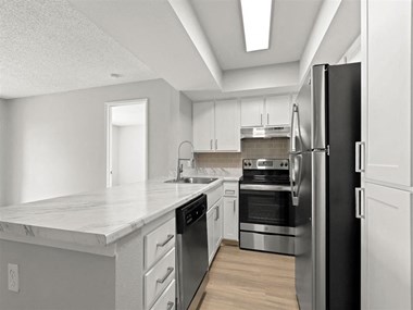 renovated kitchen with stainless steel appliances