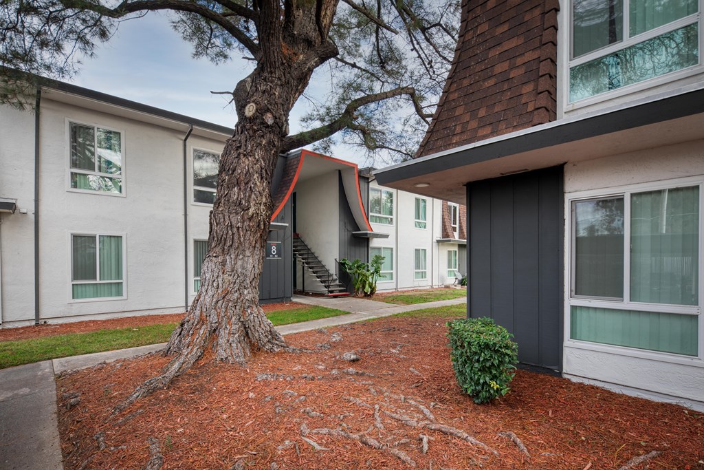 a courtyard with a tree and some apartments in the background