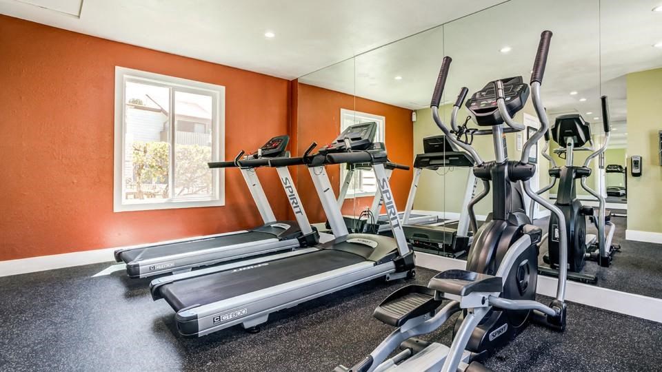 our apartments have a gym with a treadmill and elliptical machines