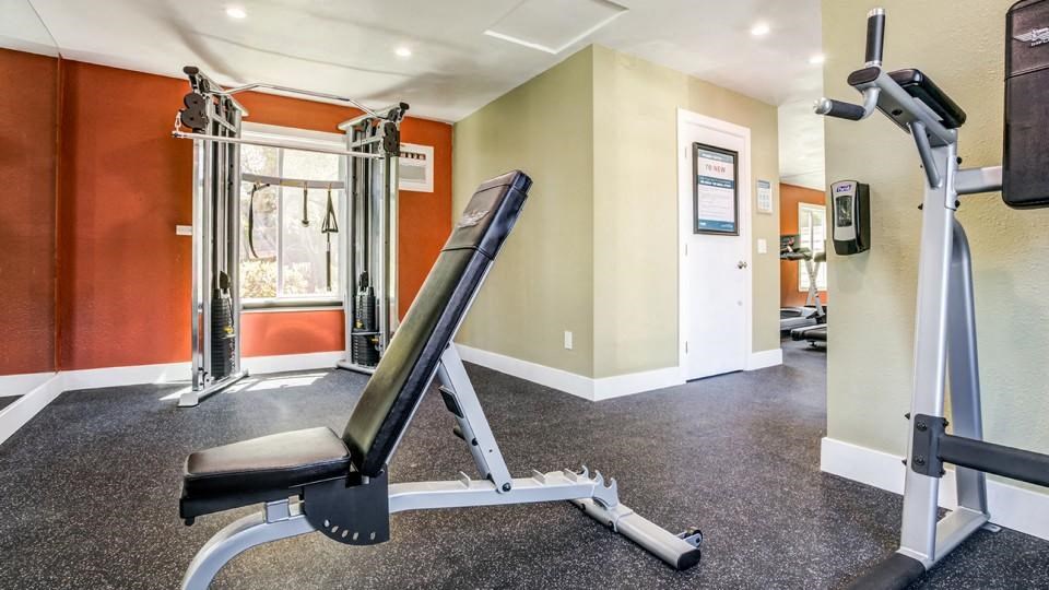 our apartments have a gym with a treadmill and other equipment