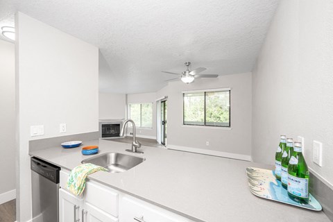 a kitchen with a sink and a dishwasher