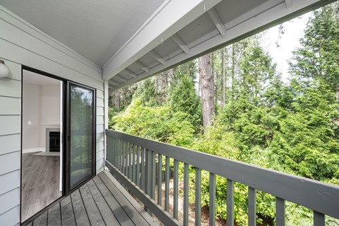 a view of the forest from the balcony