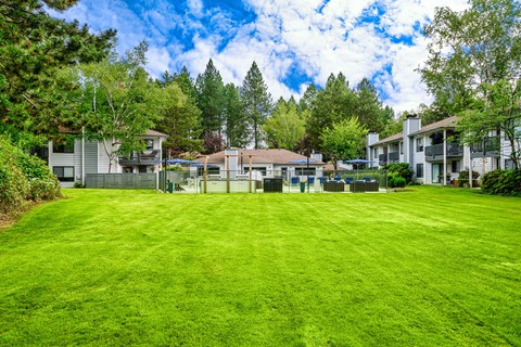a large grassy area with houses in the background