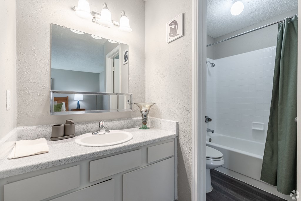 A bathroom with a white sink and a mirror above it.
