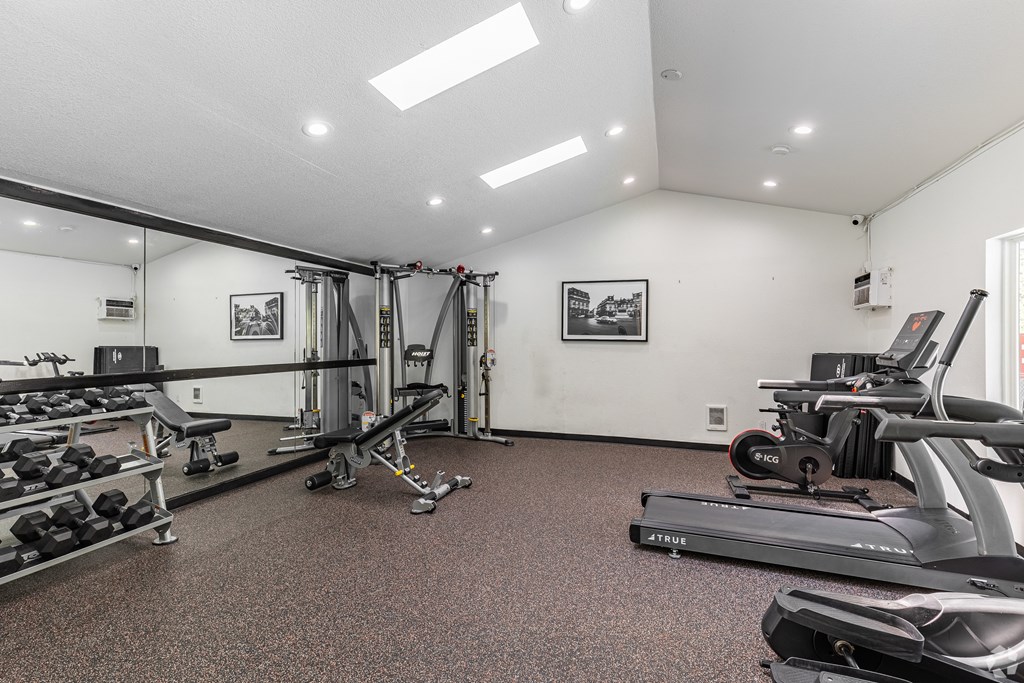 A well-equipped gym with a variety of exercise machines and weights.