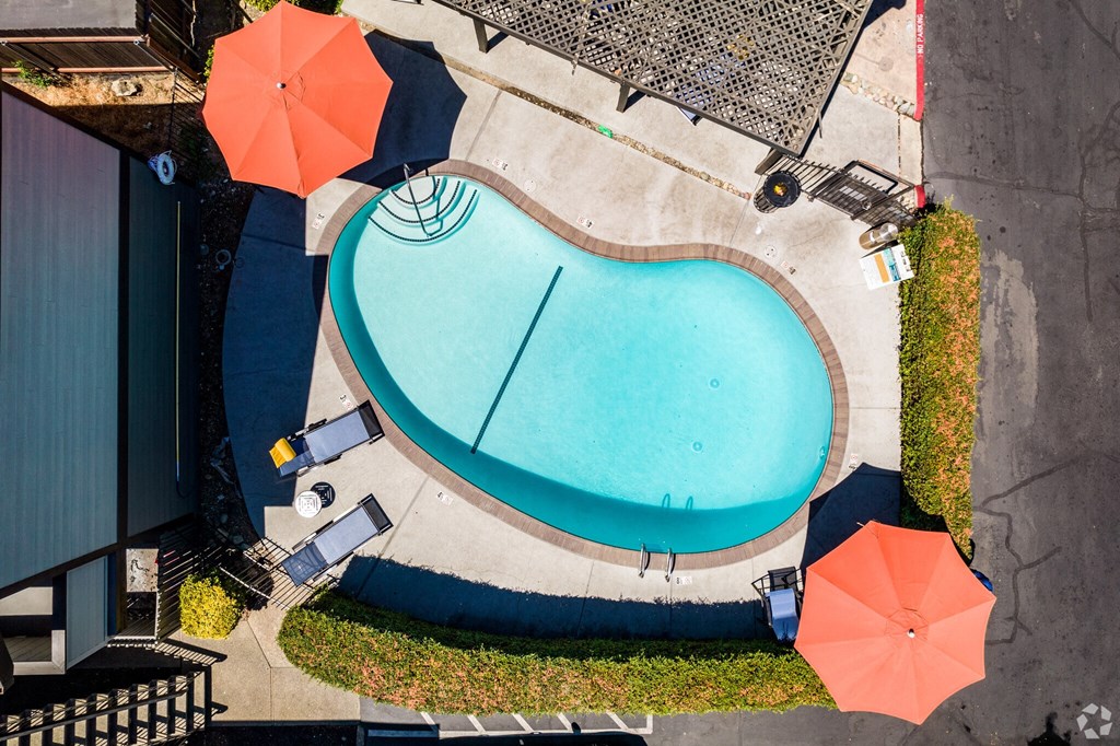 an aerial view of a swimming pool with umbrellas