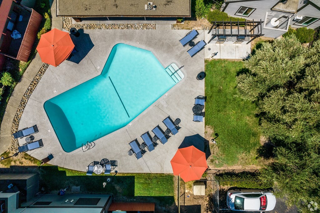 arial view of a swimming pool in a backyard with umbrellas