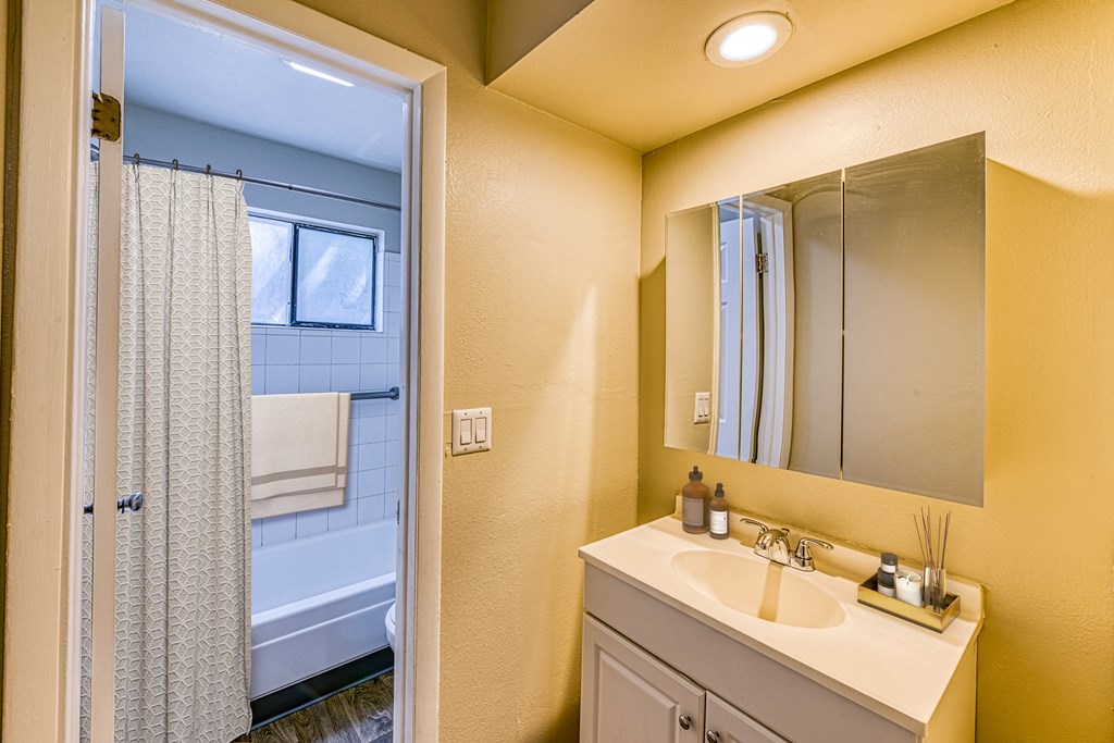 a bathroom with a sink and a shower and a mirror