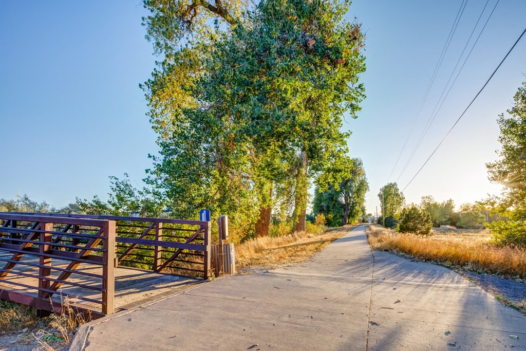 a dirt road with a wooden fence on the side and trees on either side of the road