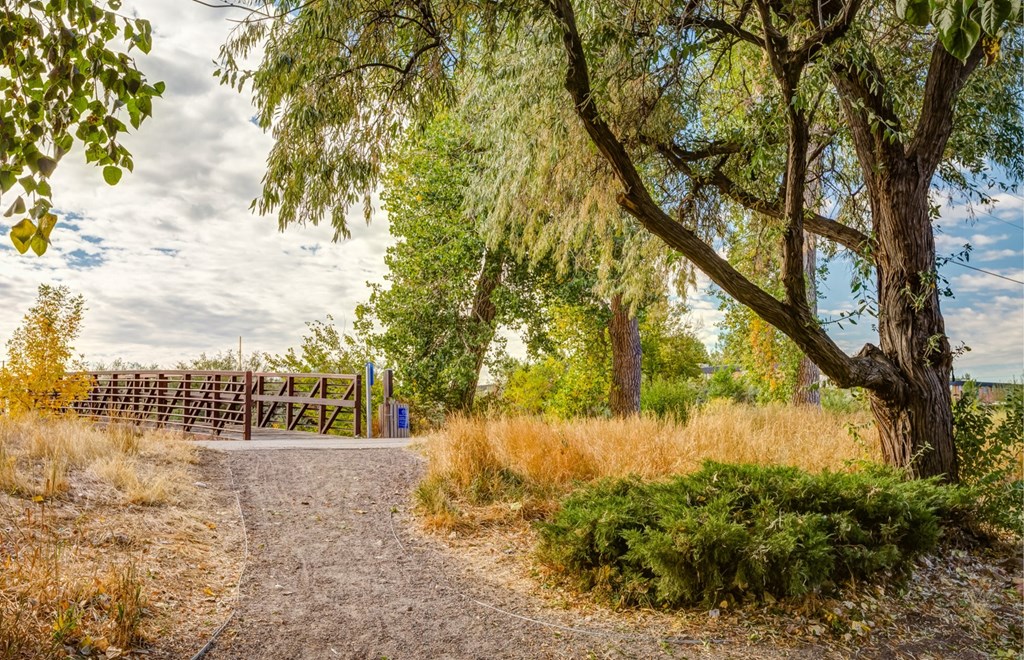 a trail leading to a wooden bridge