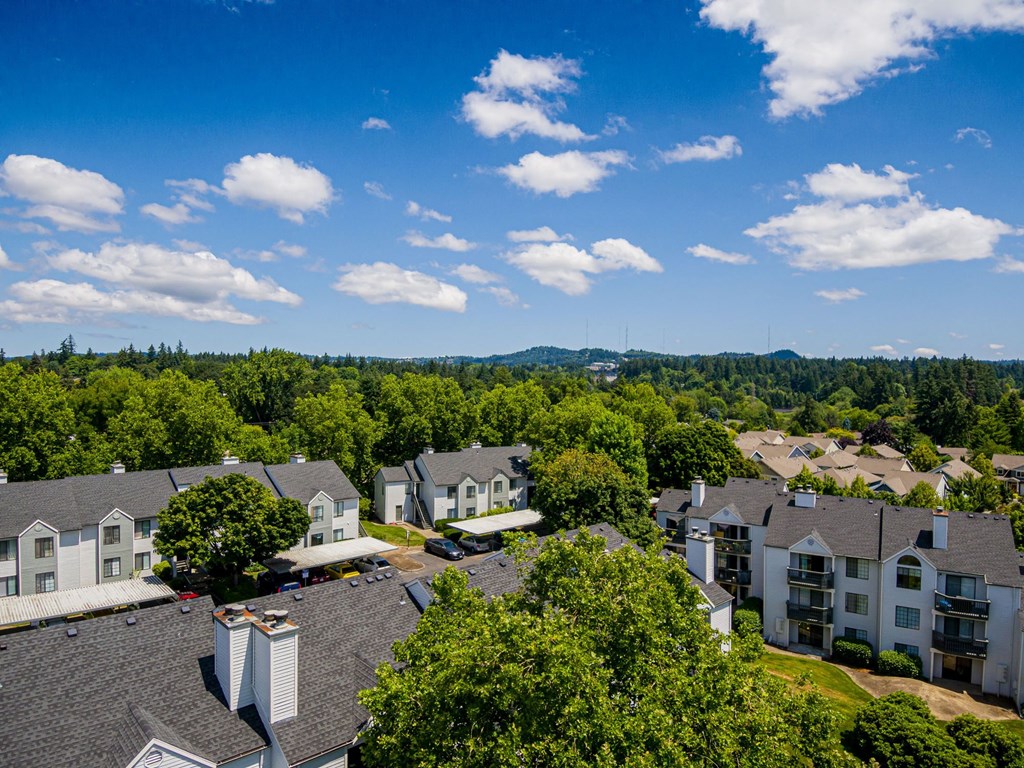 Willow Grove By Trion Living