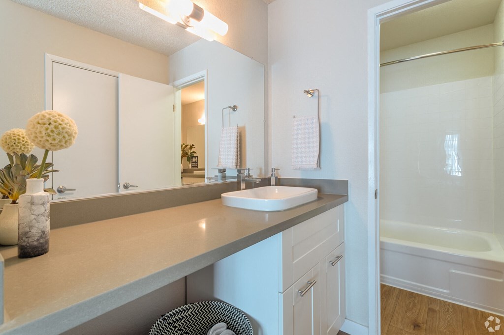 a bathroom with a sink and a shower and a mirror