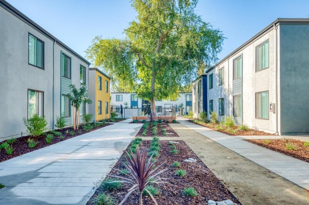 a row of houses with a sidewalk and trees in the middle