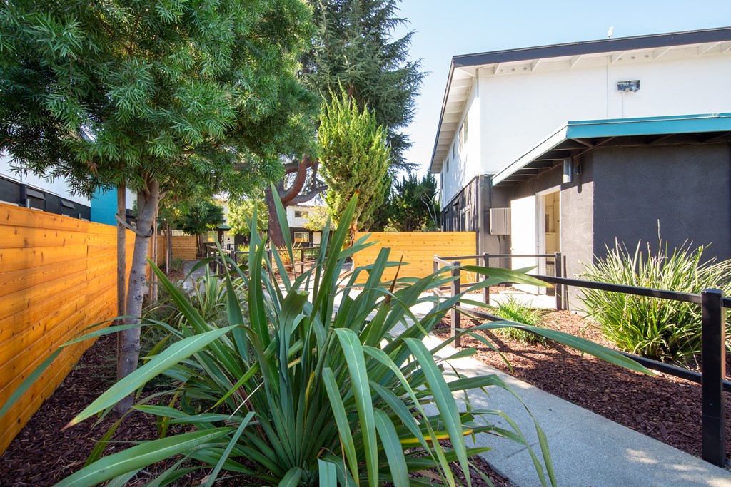 a garden with a wooden fence and a tree in front of a building