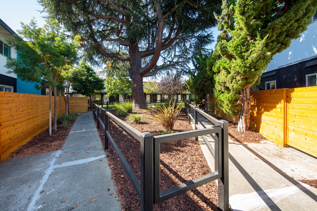 a fence with a large tree in the background