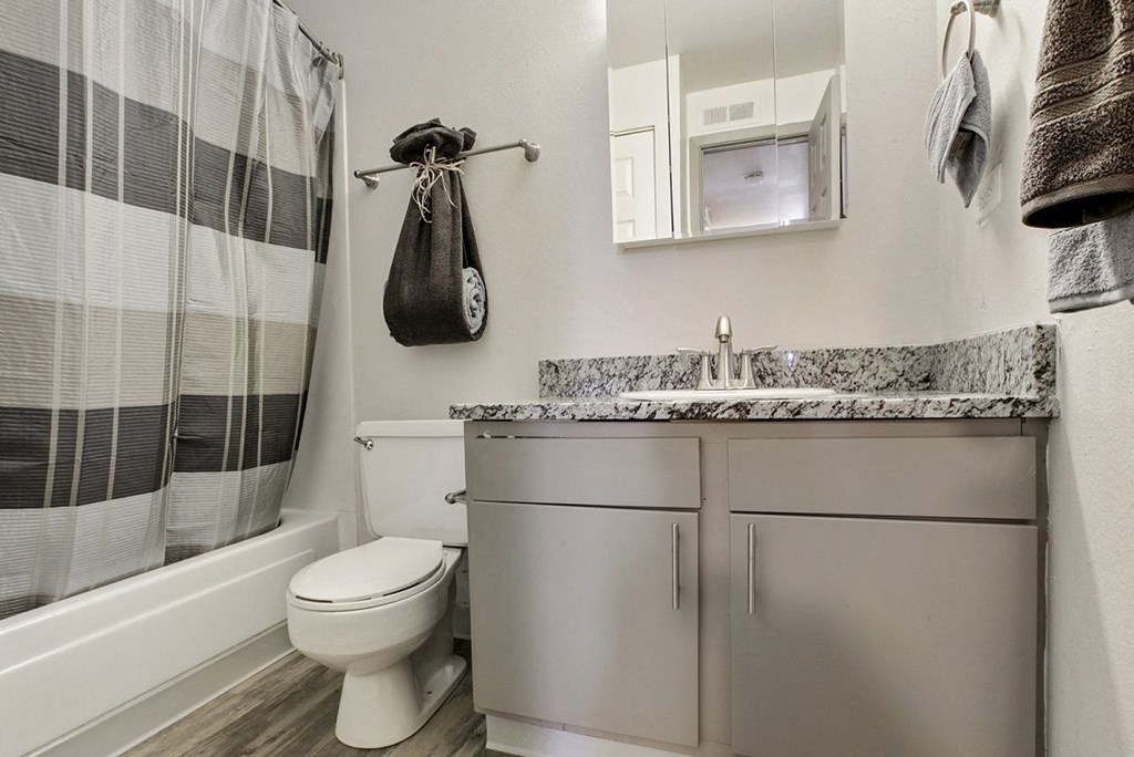 A bathroom with a toilet, sink, and shower curtain.
