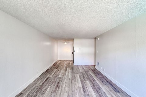 our apartments offer a spacious living room with wood flooring