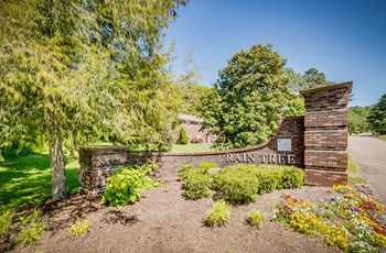 651 Rain Forest Road 2 Beds Apartment for Rent - Photo Gallery 6