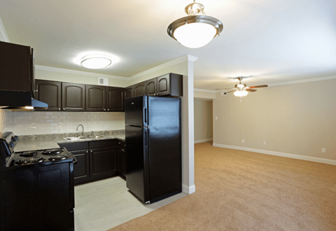 A kitchen with black cabinets and a black refrigerator.
