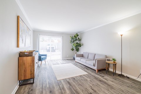 A living room with a grey couch, a wooden cabinet, and a small table with a plant on it.