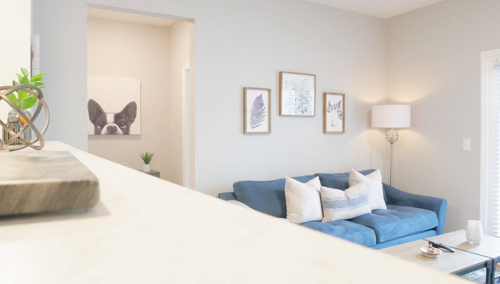 a living room with a blue couch and a white counter