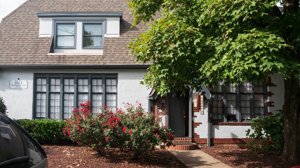 a white brick house with black windows and a tree