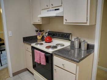 1505 Greenbrier Ridge Way 1-3 Beds Apartment for Rent - Photo Gallery 4