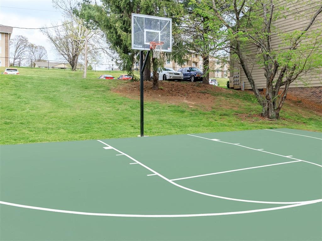 a basketball court in a yard next to a tree