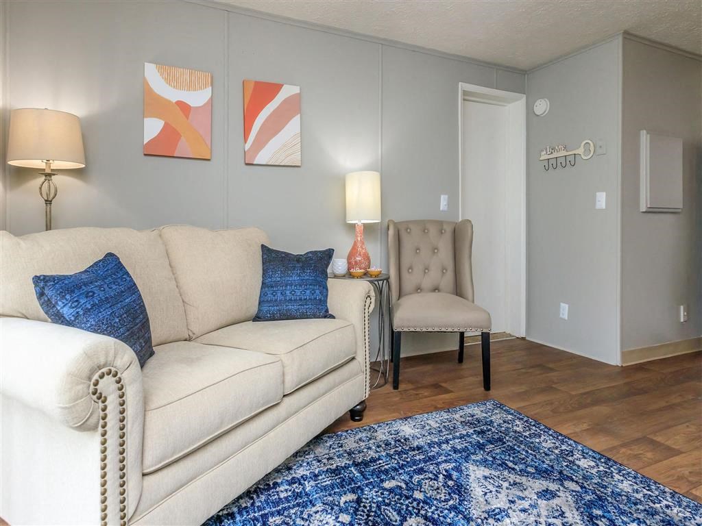 a living room with a white couch and a blue rug