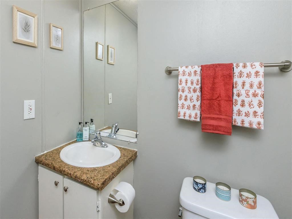 a bathroom with a sink and a toilet and a mirror