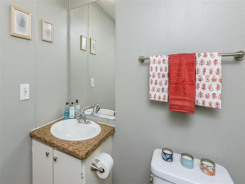 a bathroom with a sink and a toilet and a mirror