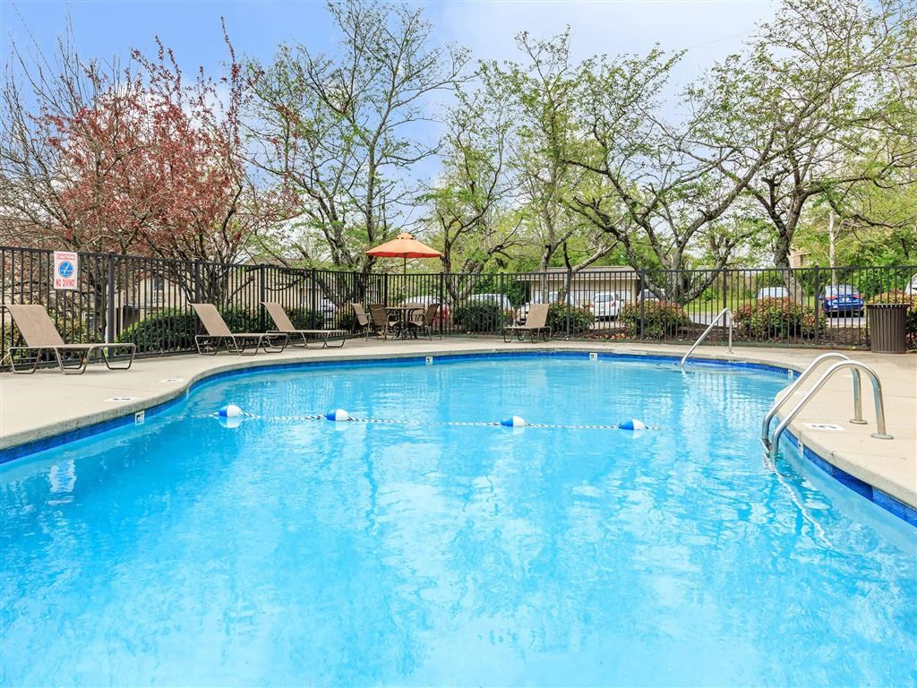 the swimming pool at the apartments for rent